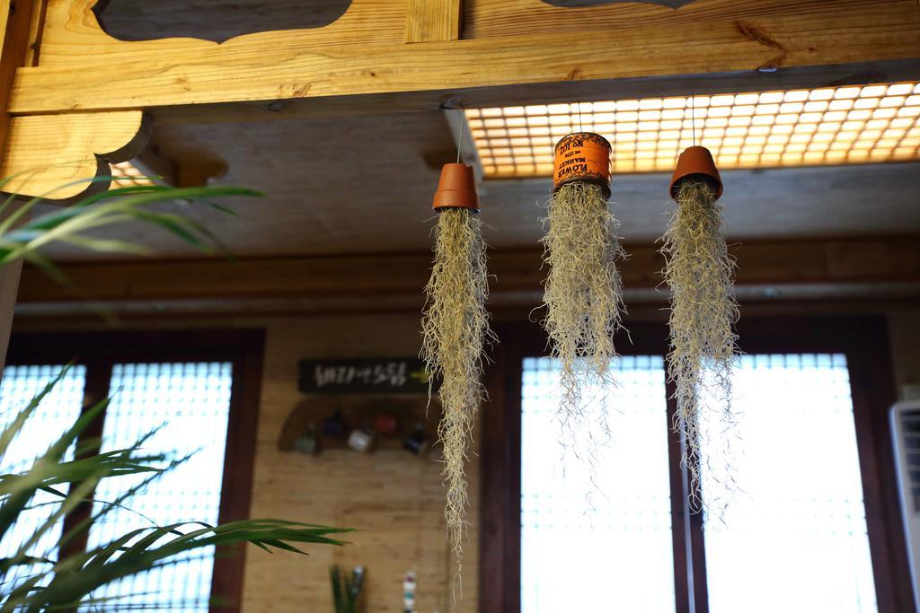 Harry And Sodam Pension Jeju Exterior photo
